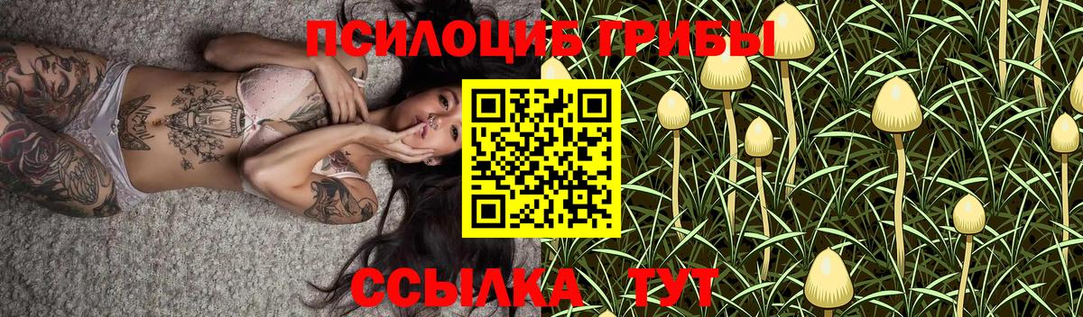 Галлюциногенные грибы MAGIC MUSHROOMS Асино