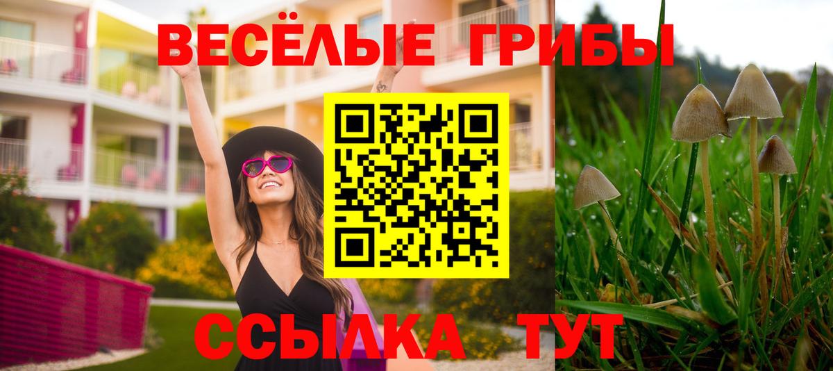 Асино  Галлюциногенные грибы MAGIC MUSHROOMS  Вход с VPN 